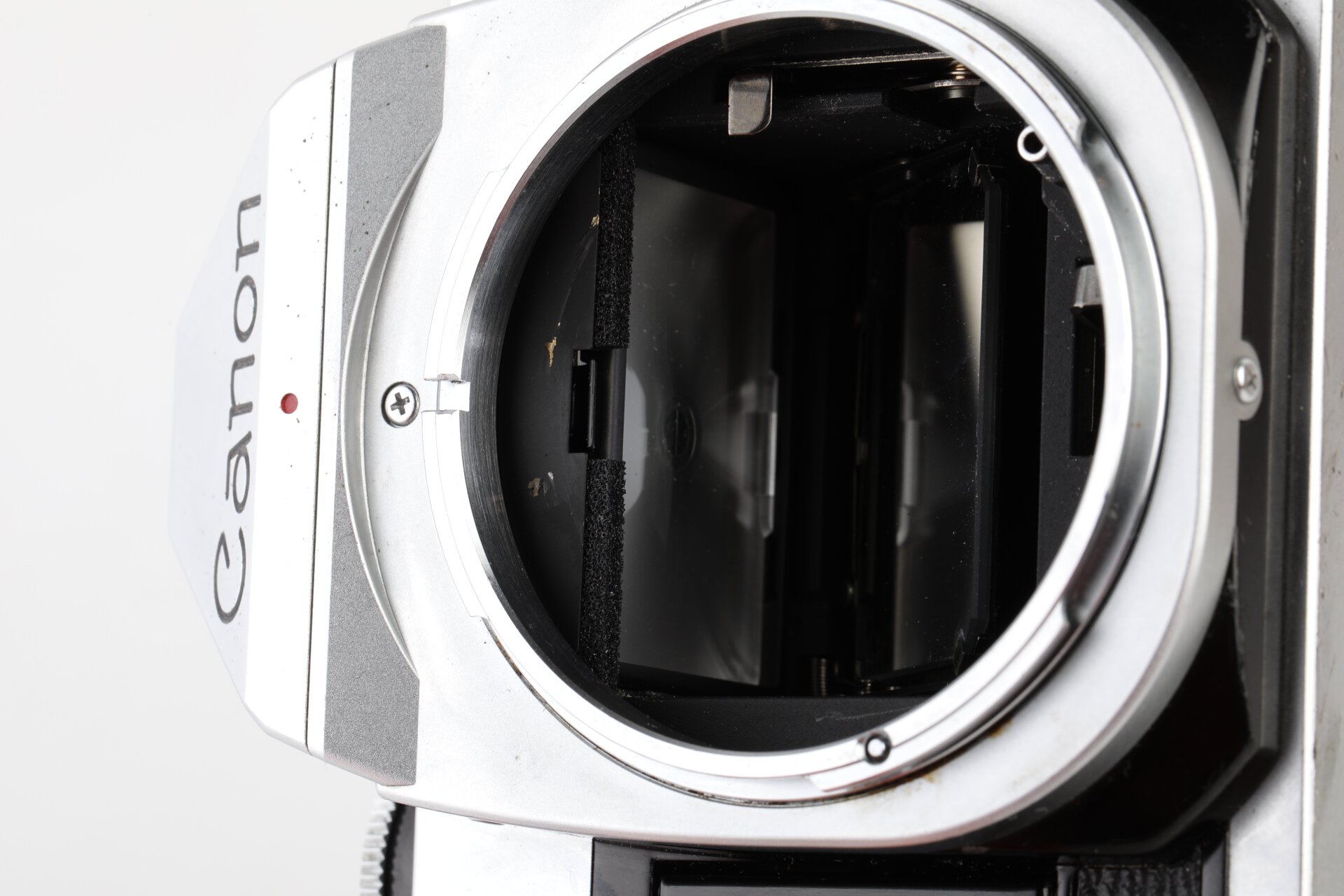 Canon AE-1 Program chrom