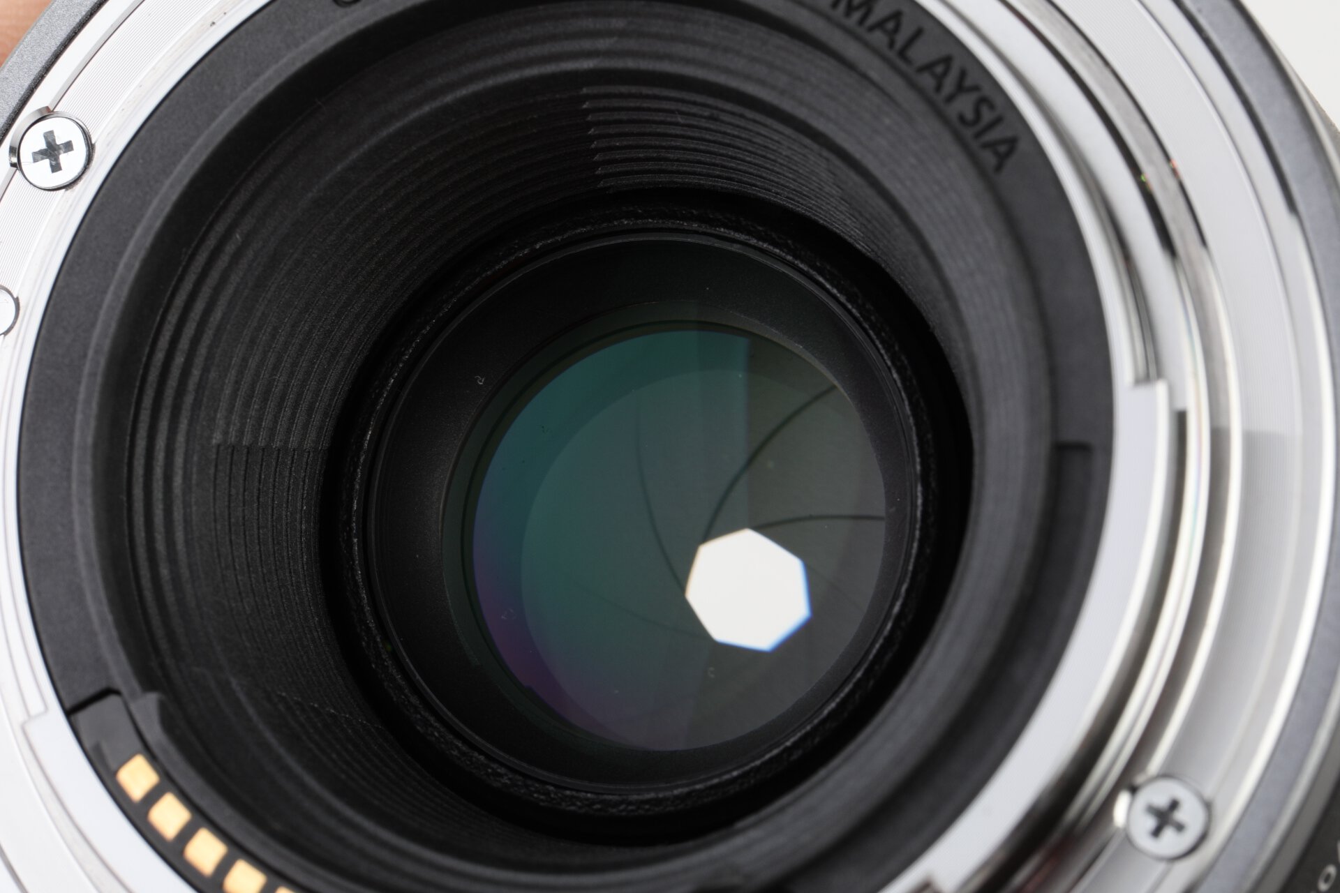 Canon RF 1,8/50mm STM Canon RF 1,8/50mm STM